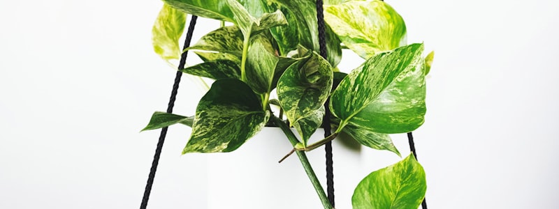 英超联赛比赛场景，球员激烈拼抢